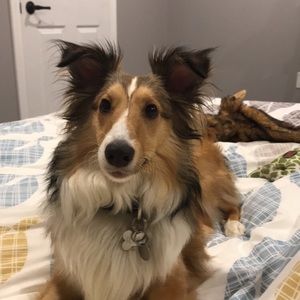 Meet your Posher, Janessa